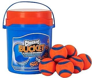Chuckit Chuckit! Ultra Ball - Jouet en Caoutchouc pour Chien - Ultra rebondissante et Durable - avec Seau - Compatible avec Les lanceurs - Lot de 8 balles (M)