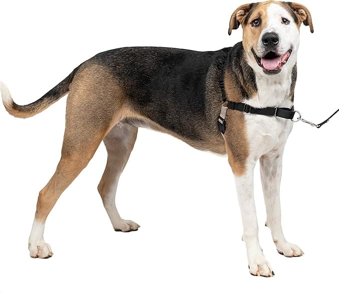 PetSafe PetSafe - Easy Walk Extra Large Dog Harness (XL) - Black