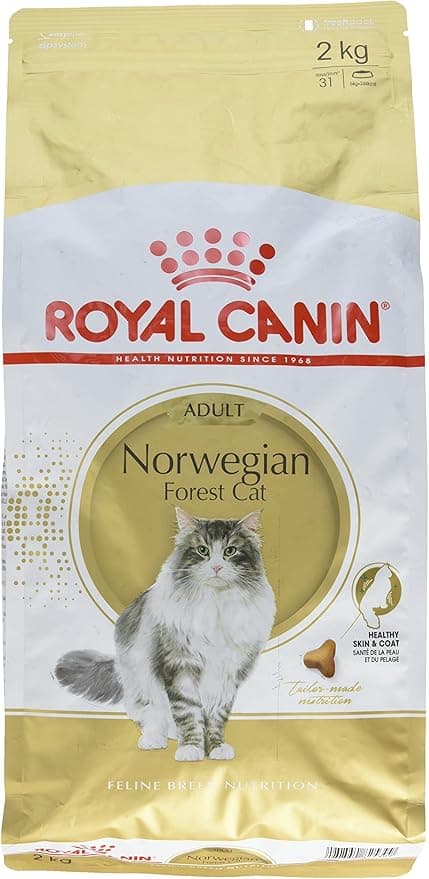 Norwegian Forest Cat Adult ROYAL CANIN 2kg Bag Premium Dry Food for Norwegian Adult Cats - Image 1