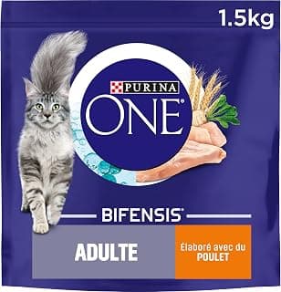 PURINA ONE | BIFENSIS | Croquettes pour Chat Adulte | Renforce le système immunitaire, améliore l'équilibre du microbiome, aide à maintenir un système urinaire sain | Poulet | Sac | Lot de 6 x 1,5Kg