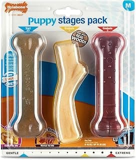 Nylabone Puppy Stages Triple Pack, Démarreur De Poulet Doux À Mâcher, Bâton en Bois De Bacon À L'érable Diplômé, Os Extrême De Boeuf Jerky Diplômé, Taille Moyenne (1 Paquet De 3 Jouets À Mâcher)