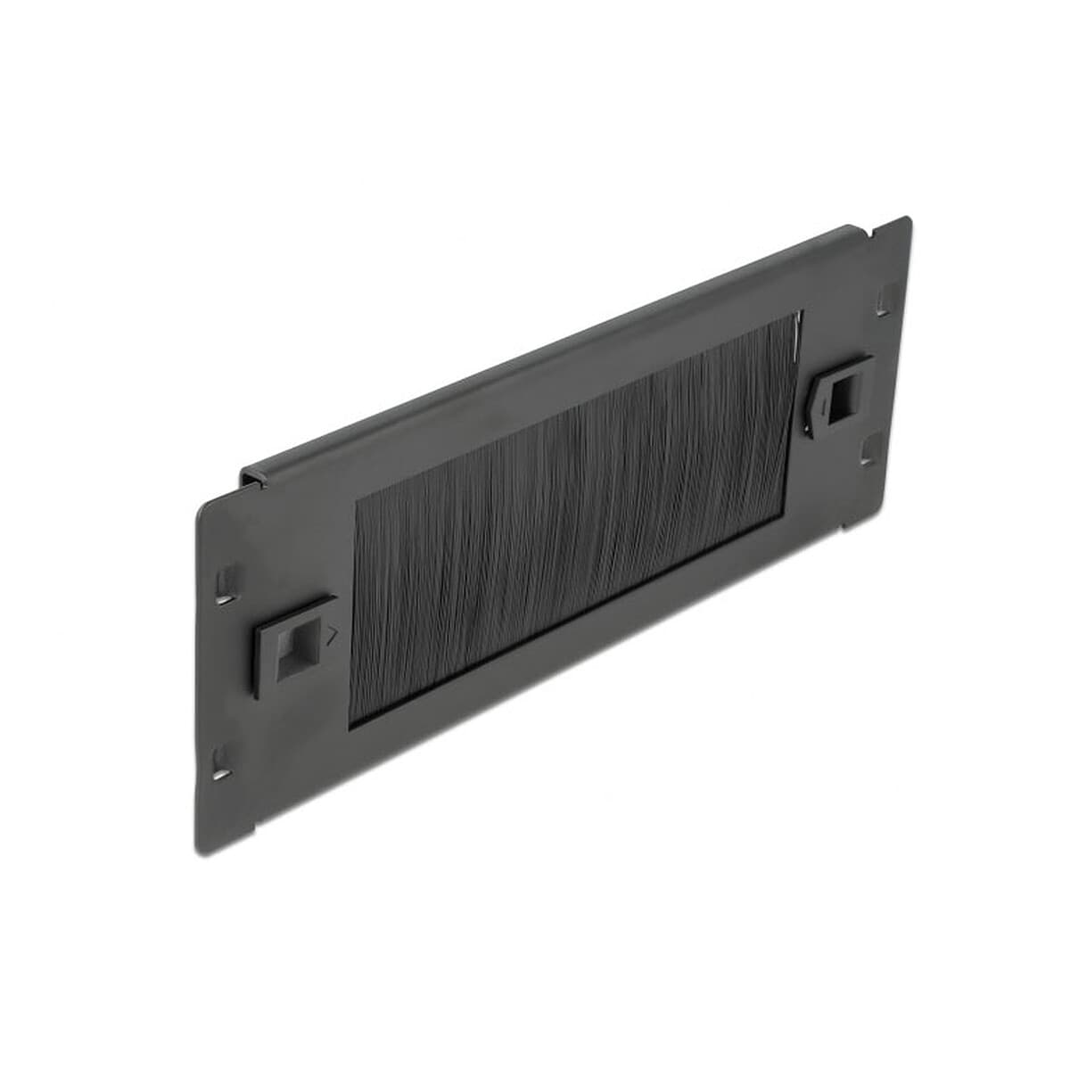 DeLock Panneau passe-câble à brosse 2U pour armoire réseau 10"