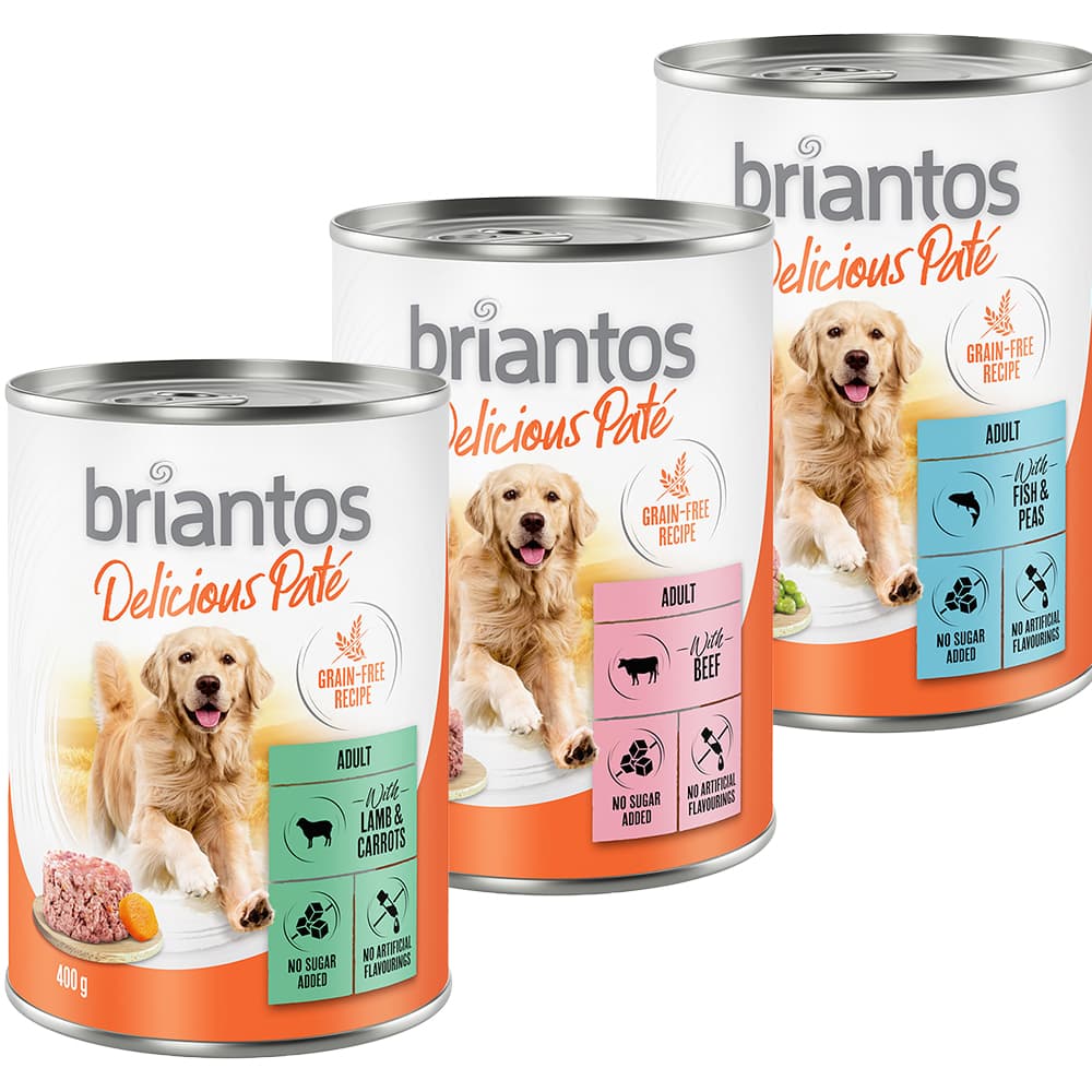 Briantos Delicious Paté - Pack de prueba - 24 x 400 g