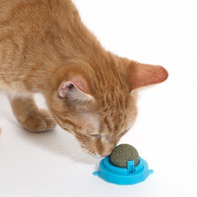Pelota zooplus Basics catnip