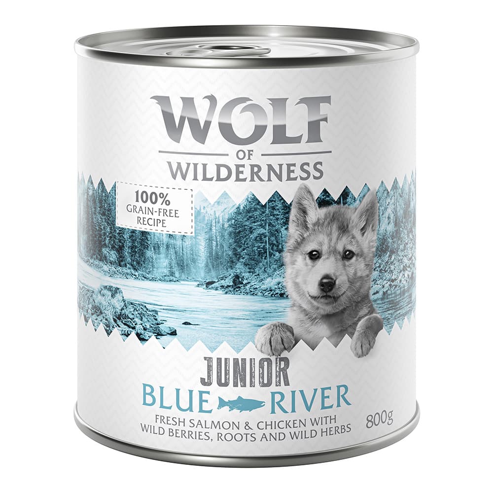 Wolf of Wilderness Junior 12 x 800 g - Pack Ahorro - Blue River Junior, con pollo y salmón