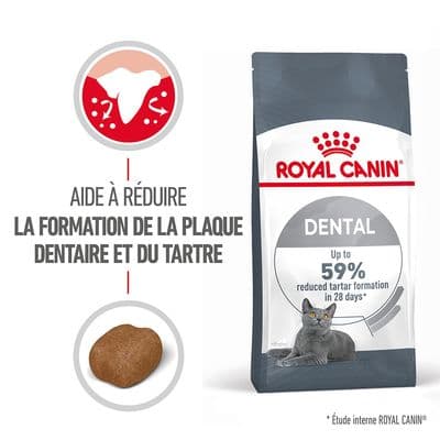 Royal Canin Royal Canin Dental Care pour chat