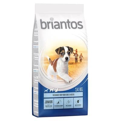 Briantos Junior Pollo y patata - SIN CEREALES - Image 7