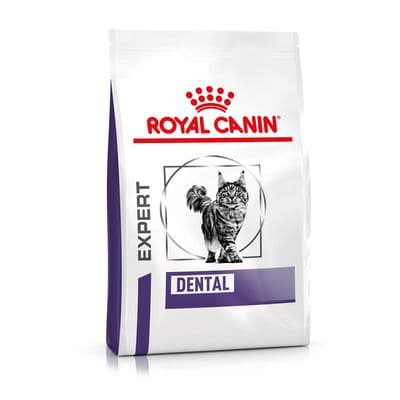 Royal Canin Dental Care pour chat - Image 2