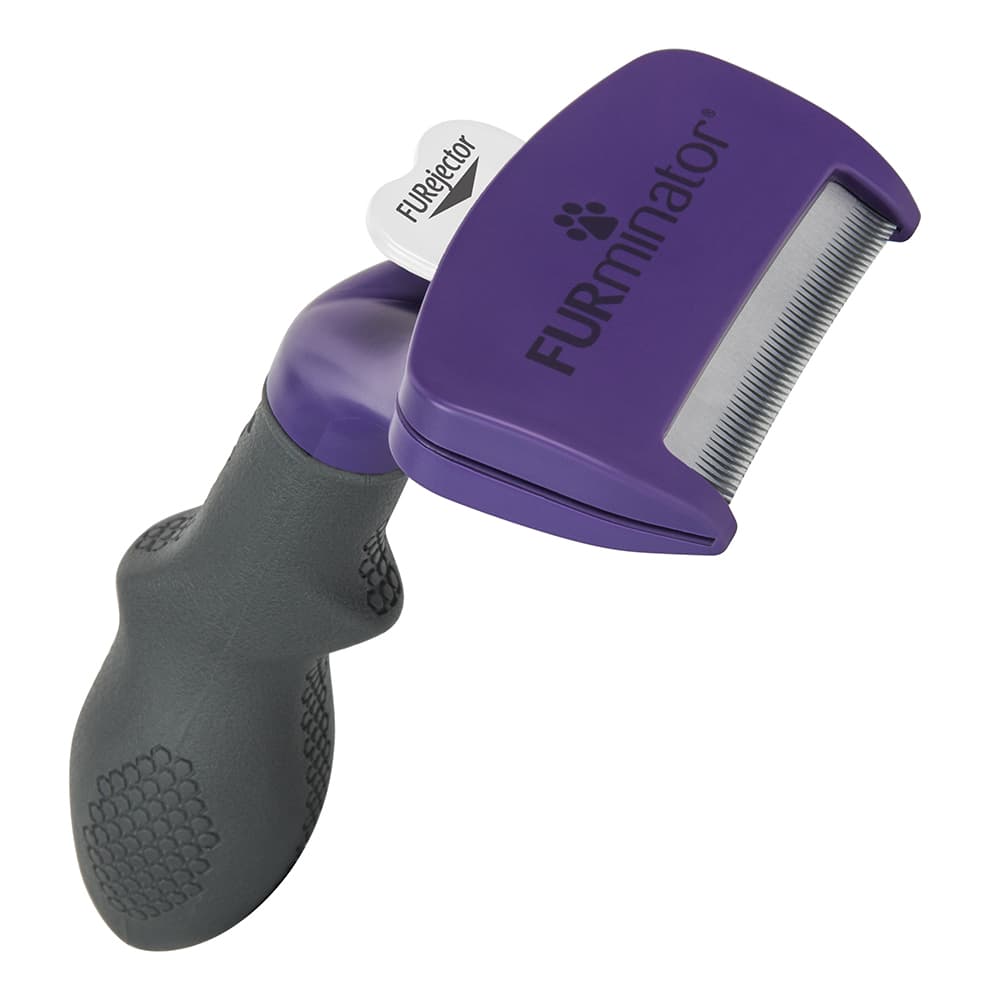 Cepillo FURminator DeShedding Tool para gatos - Gatos grandes/pelo corto