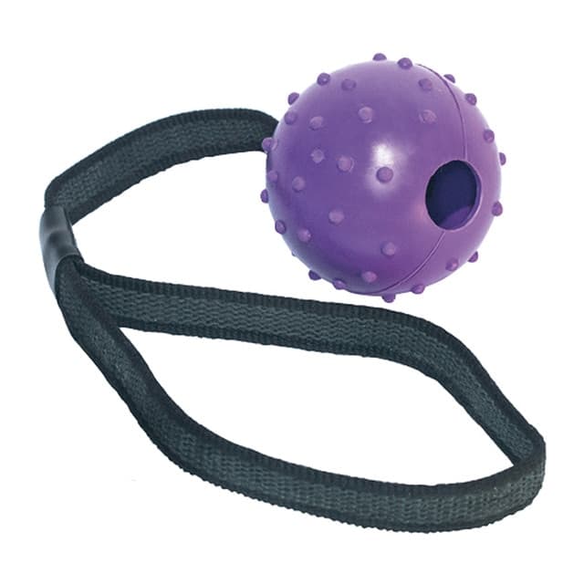 Gloria - Pelota de goma con cinta Gloria para perros.
