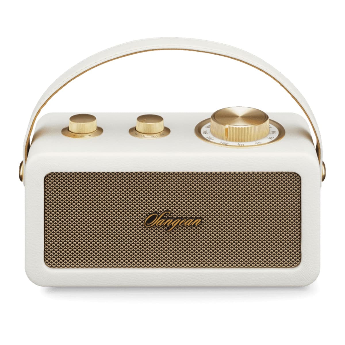 Sangean - Radio portátil Sangean SRA101IG FM, Bluetooth.