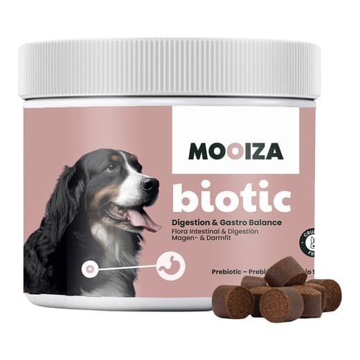 Mooiza - Snack natural para perros Biotic Moozia prebiotico cordero, patata y boniato 300 g. - Image 2