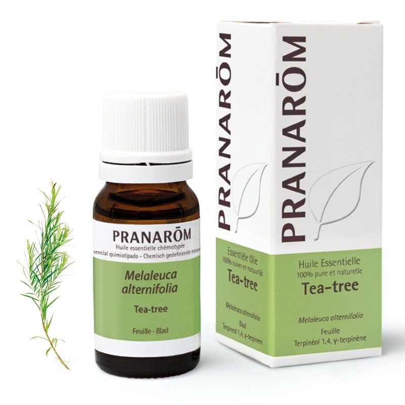 Pranarom - huile essentielle de tea-tree - 10 ml - Image 1