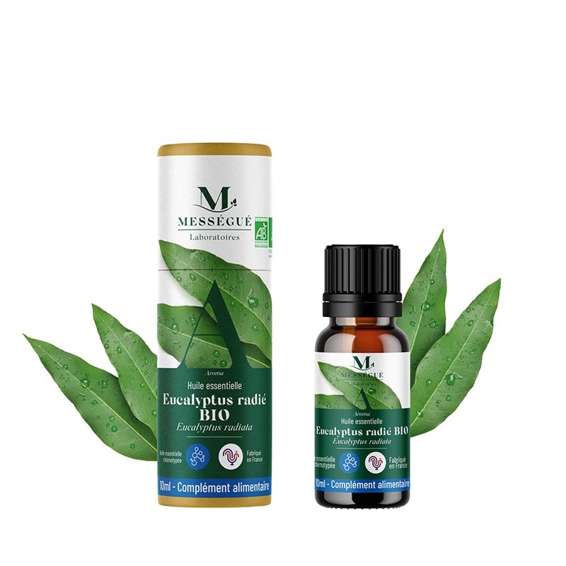 Huile essentielle eucalyptus radié bio 10 ml - Image 1