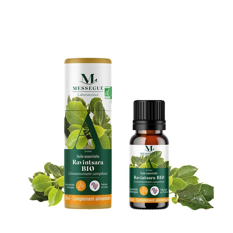 Huile essentielle ravintsara bio 10 ml - Image 1
