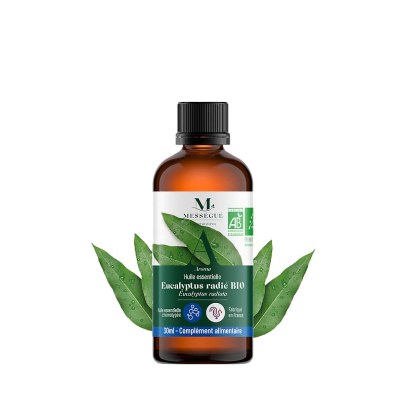 Huile essentielle eucalyptus radié bio 30 ml - Image 1