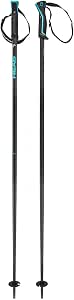 Head Frontside Black Speed Blue Unisex Ski Poles - Image 1