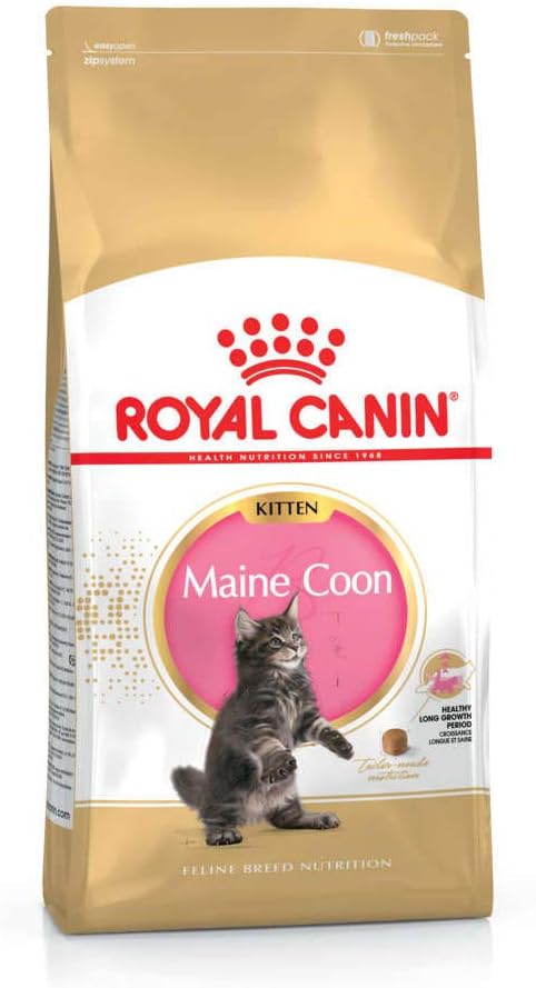 ROYAL CANIN Maine Coon Kitten FOOD SECO Para Gatos GATITO Aves, ARROZ 400 G - Image 1
