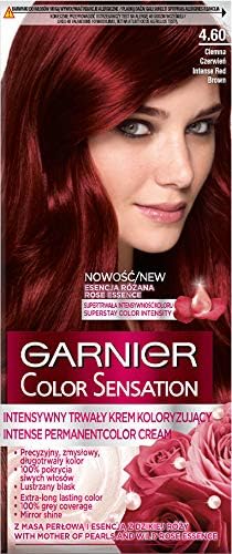 Garnier Color Sensation Hair Dye 4.60 Intensive Dark Red 1 Count - Image 1