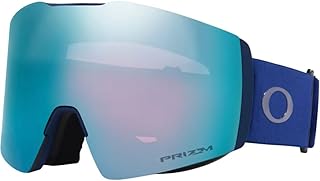 Fall Line L Unisex Winter Ski Goggles - Image 1