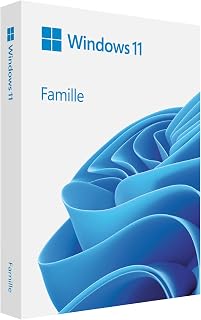 Microsoft Windows 11 Famille | 11 64-bit | Français | USB - Image 1