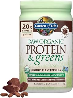 Raw Protein/Greens Powder Chocolate - Image 1