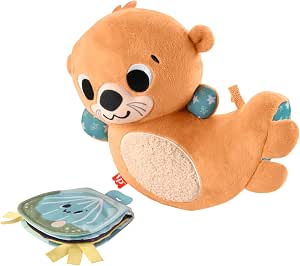 Fisher-Price 2 in 1 Otter Plush Toy for Tummy Play with Cloth Book for Developing Newborn Sensory Abilities, HXG96 - Image 1