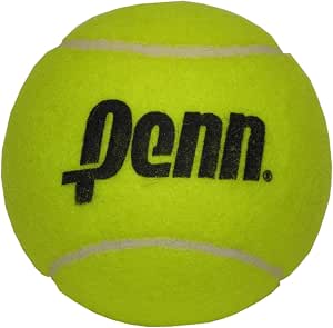 Penn 581022 Mini Tennis Ball Jumbo Yellow 4" - Image 1