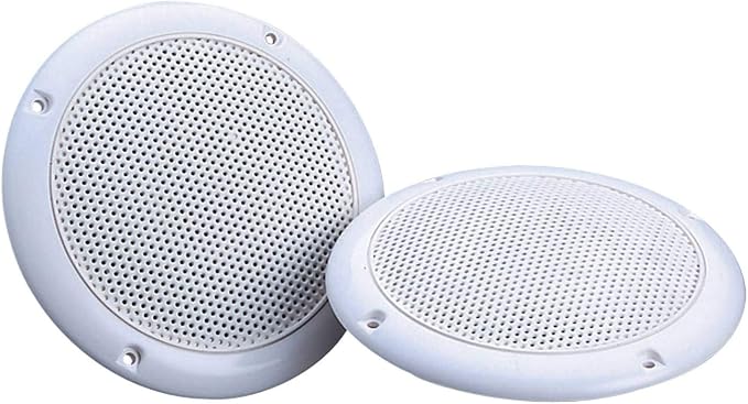e Audio 80W Waterproof HiFi Amplified Ceiling Speakers Compatible with Google Home Bluetooth Smartphone Amazon Alexa Echo - Image 1