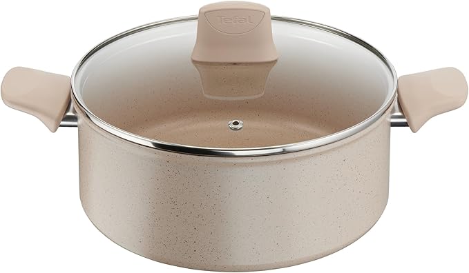 Delight Tefal G2934602 Stewing Pot with Lid 24 cm for All Heat Sources + Induction - Image 1