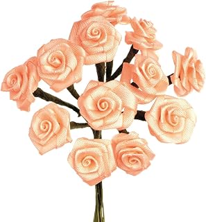 GLOREX roses dior 12 fleurs, plastique, Corail, 12,5 x 14 x 4 cm - Image 1