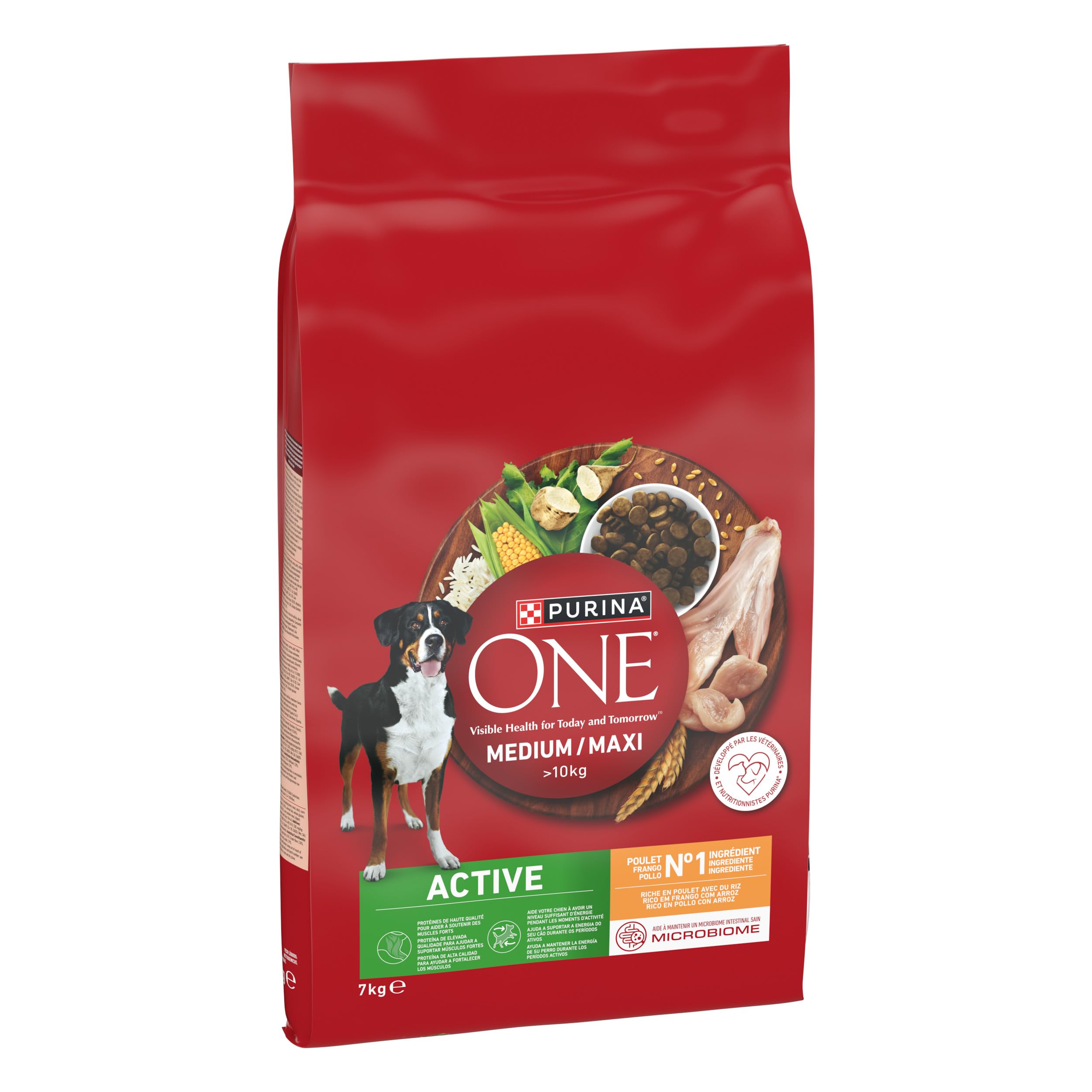 PURINA ONE | Active | Medium and Large Adult Dog > 10kg | High Protein Dry Food | Helps Maintain Strong Muscles and Sufficient Energy | Chicken | Bag | 7kg - Image 1