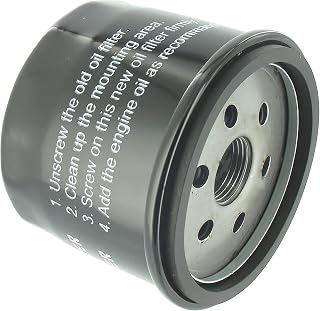 Oil filter - Replaces original BRIGGS & STRATTON, HUSQVARNA, TECUMSEH, KAWASAKI - L: 57 mm - Inner diameter: 19.05 mm - External diameter: 74 mm - Image 1