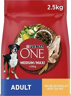 PURINA ONE | Chien Adulte de moyenne et grande taille > 10Kg | Croquettes riches en protéines | Aide à maintenir des muscles forts et un niveau suffisant d'énergie | Poulet | Sac | Lot de 4 x 2,5 kg - Image 1