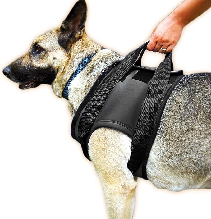 Julius-K9 Walking Support Harness for Dogs with Disabilities, Shoulder Strap, Size: L, Chest: 57-87 cm - Image 1
