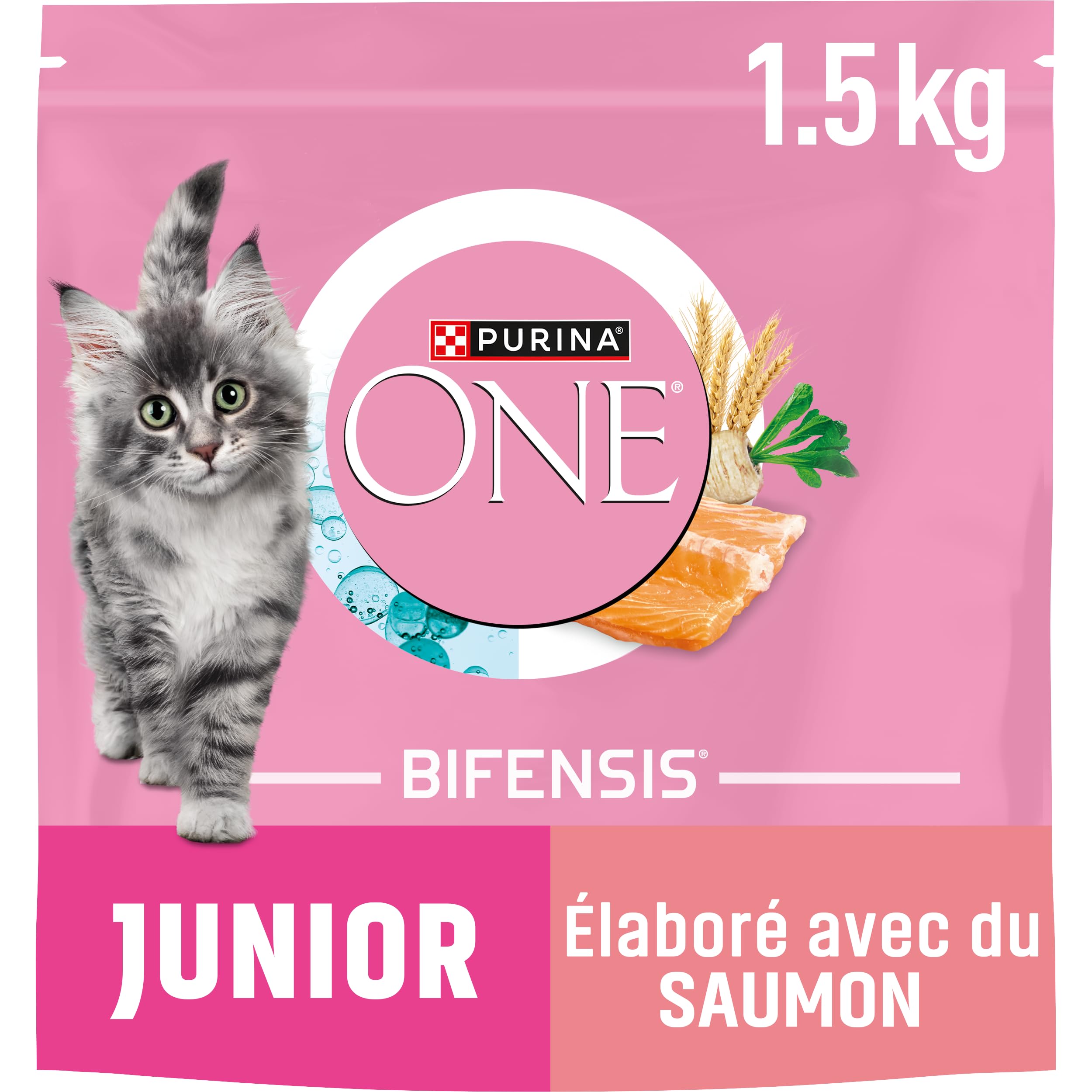 PURINA ONE | Benefits | Kitten up to 12 Months and Gestation Cats | Kibble | Aid for the healthy development of the vital functions of the cat| Salmon | Bag| 1.5 kg - Image 1