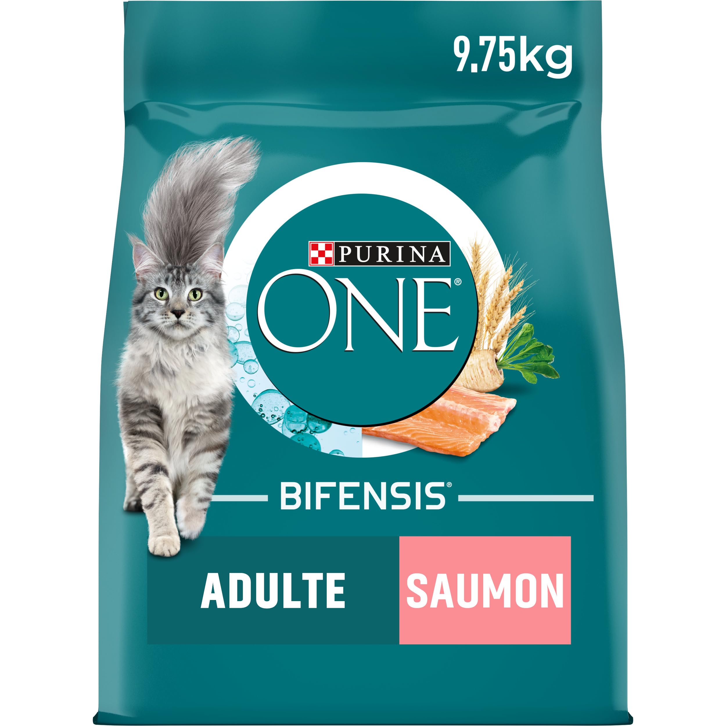 PURINA ONE | Benefits | Sterilized Adult Cat | Dry Food | Helps maintain a strong immune system | Salmon | Bag| 9.5 kg - Image 1
