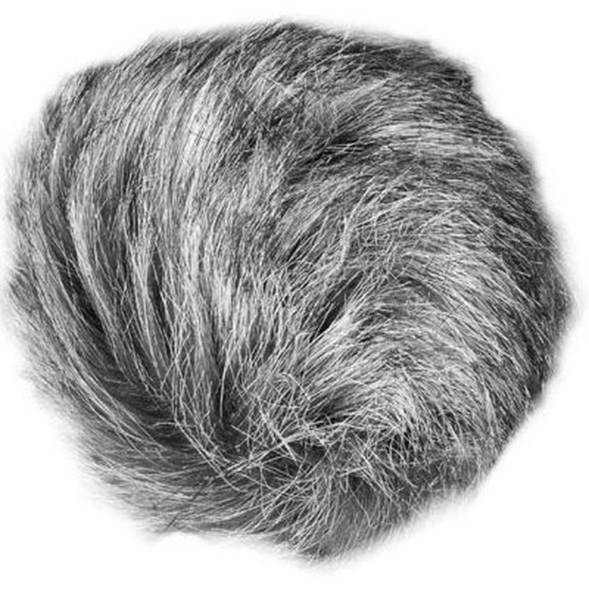 Zoom WSU-1 - Image 1