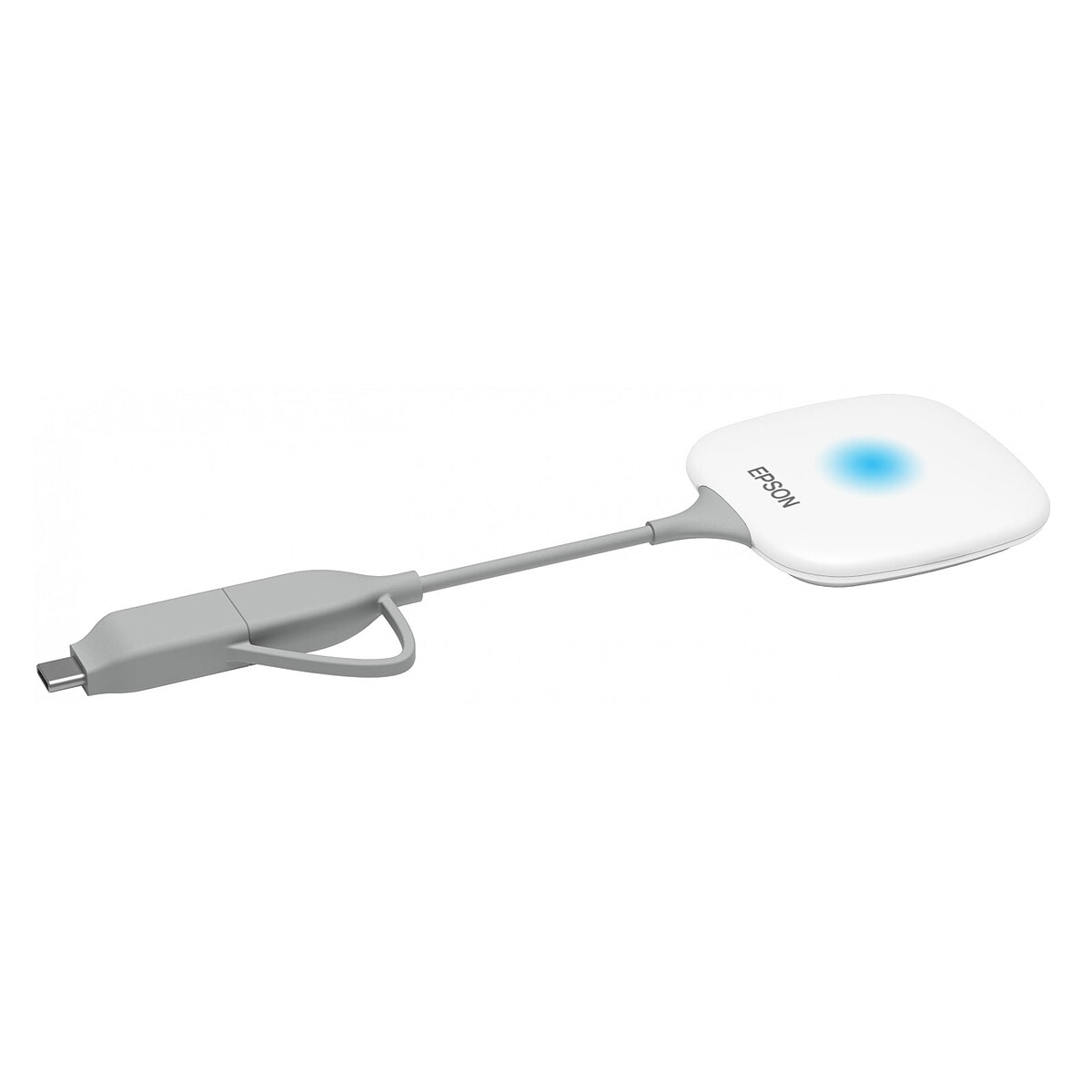 Epson ELPWT01 - Image 1