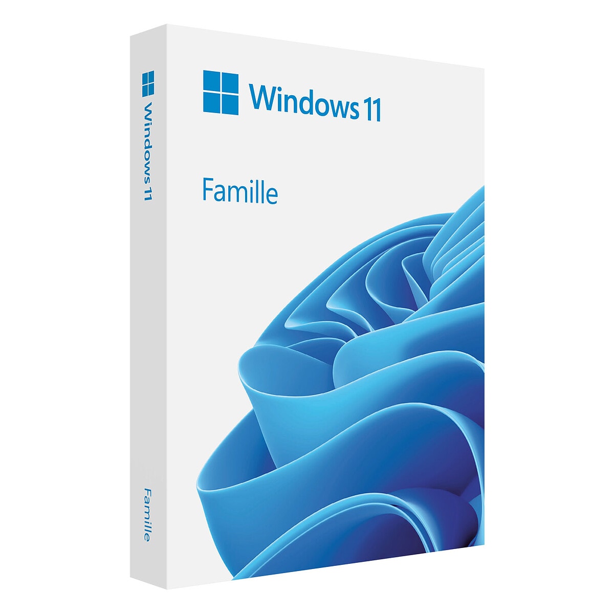 Microsoft Windows 11 Famille - OEM (DVD) - Image 1