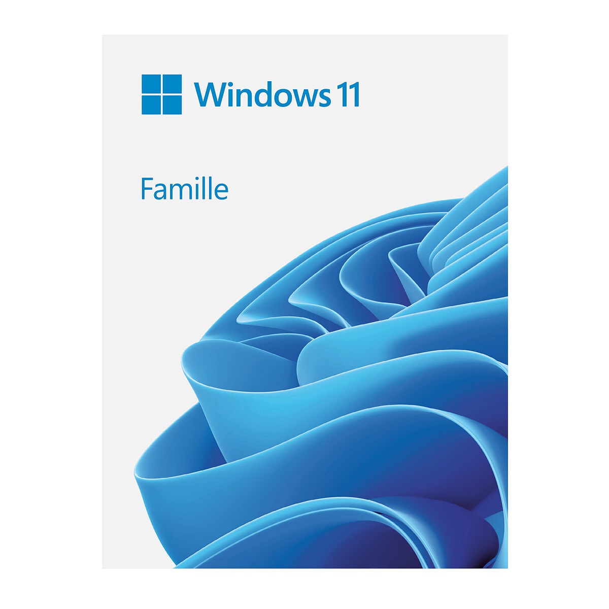 Microsoft Windows 11 Famille - Version clé USB - Image 1