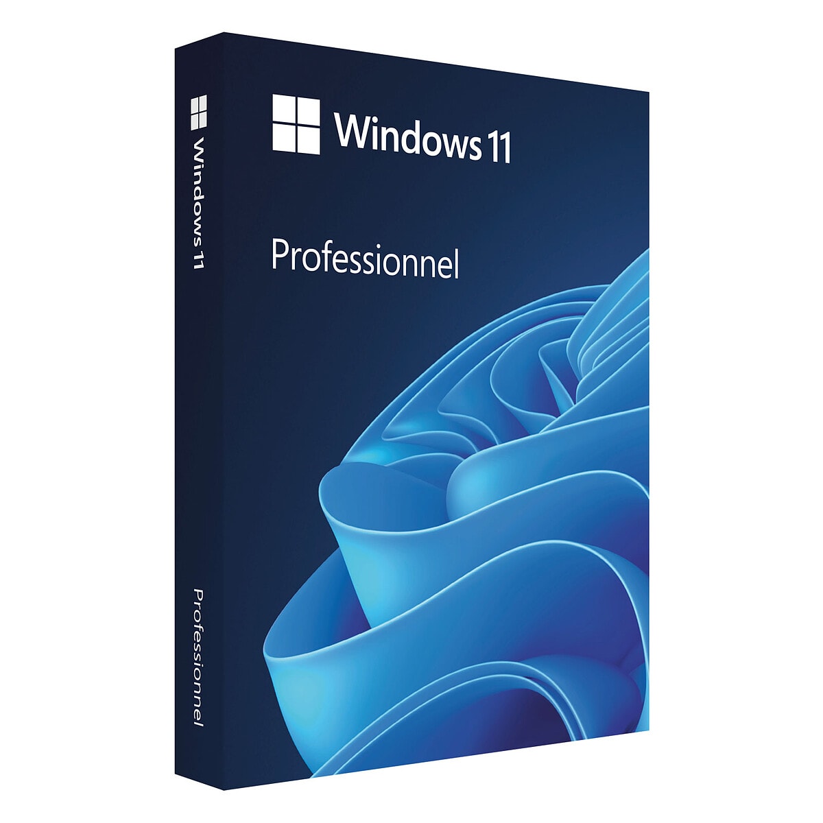 Microsoft Windows 11 Professionnel - OEM (DVD) - Image 1