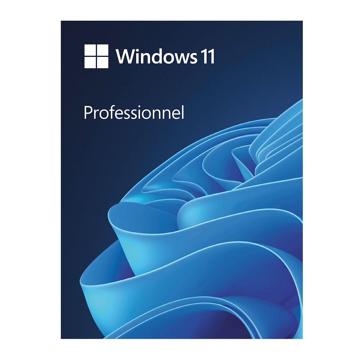 Microsoft Windows 11 Professionnel - Version clé USB - Image 1