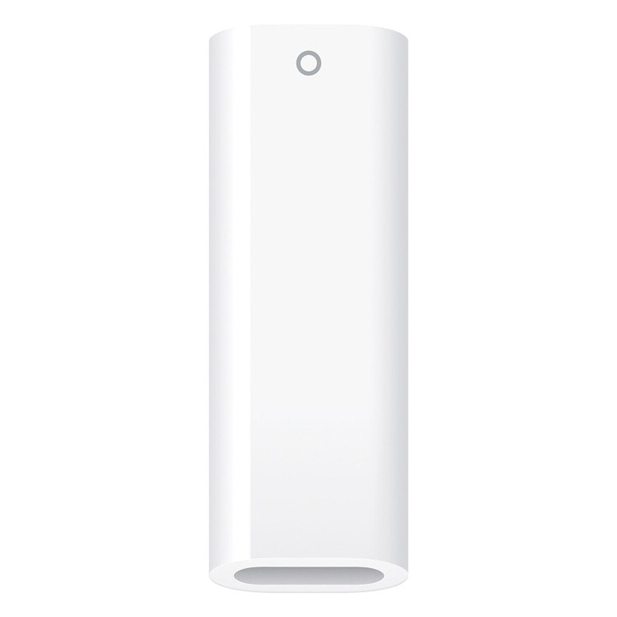 Apple Adaptateur USB-C vers Apple Pencil (MWML3ZM/A) - Image 1