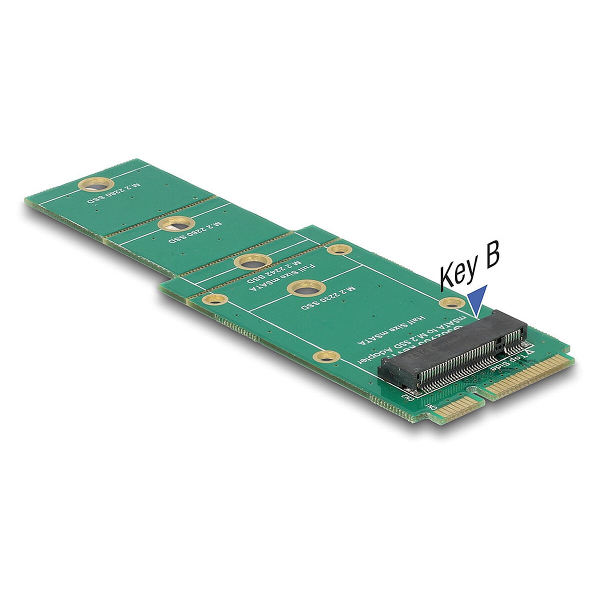 DeLock Adaptateur mSATA vers M.2 Key B - Image 1