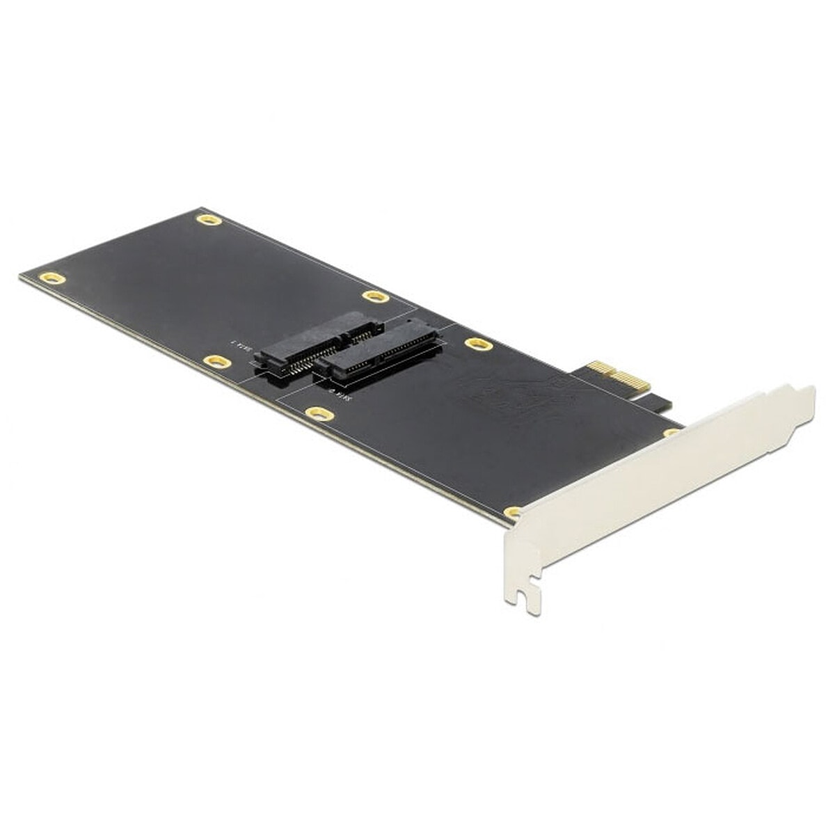DeLock Carte Contrôleur PCI Express pour 2 disques 2.5" SATA 6 Gbps - Image 1