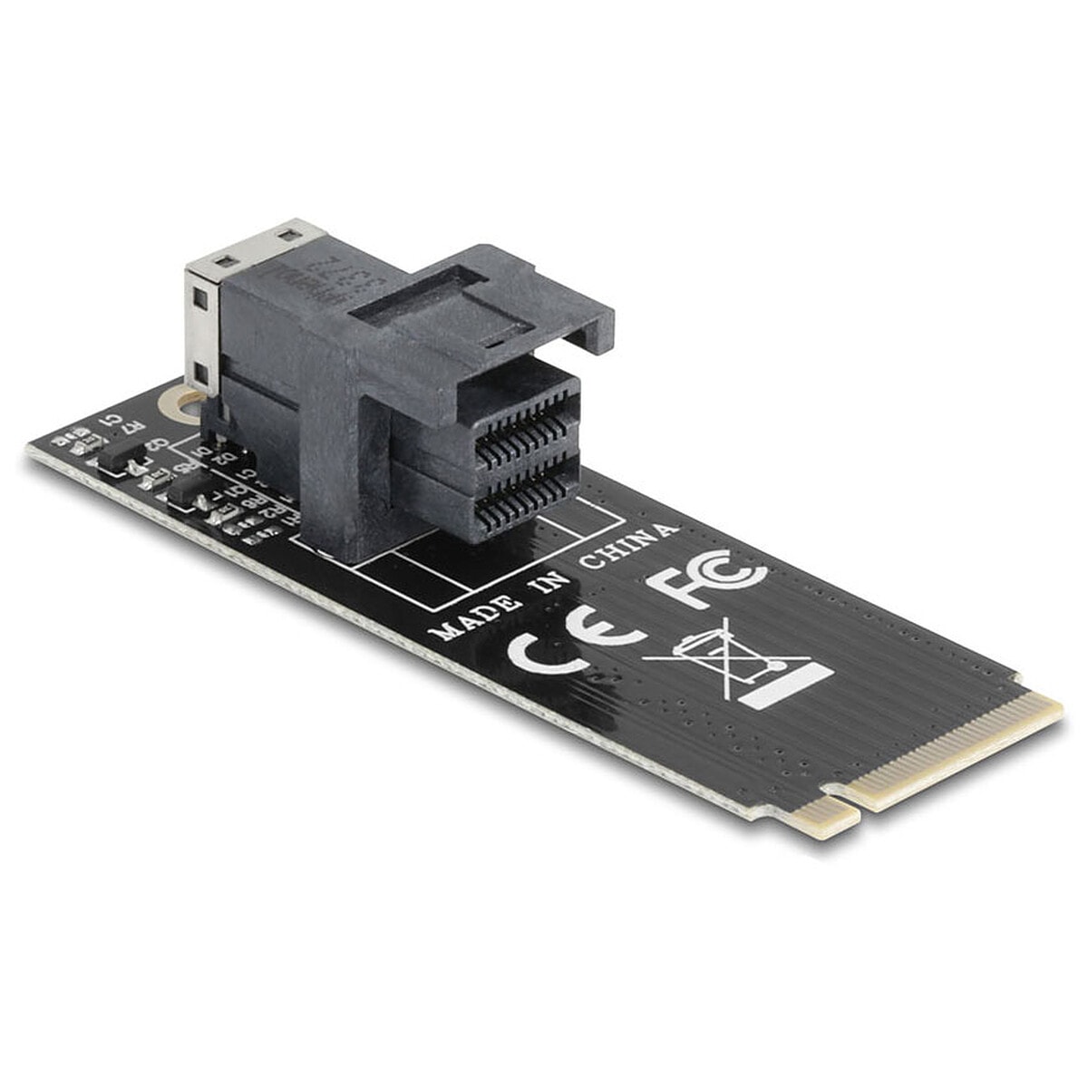 DeLock Adaptateur M.2 Key M vers SFF-8643 - Image 1
