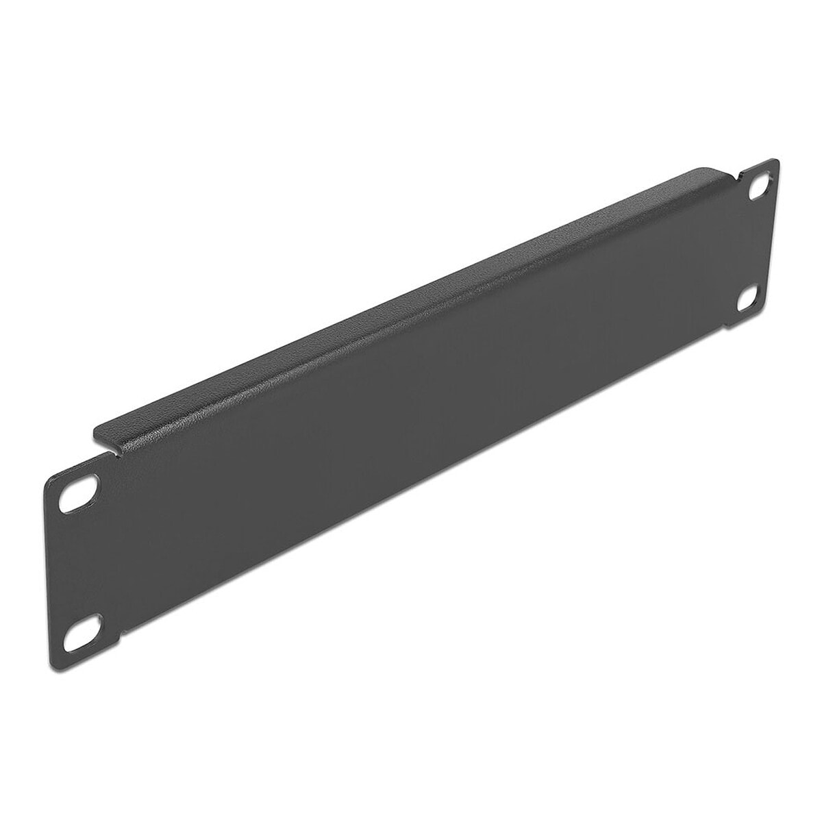 DeLock Panneau plein 1U pour armoire réseau 10" - Image 1