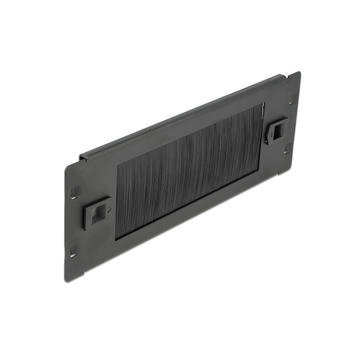 DeLock Panneau passe-câble à brosse 2U pour armoire réseau 10" - Image 1