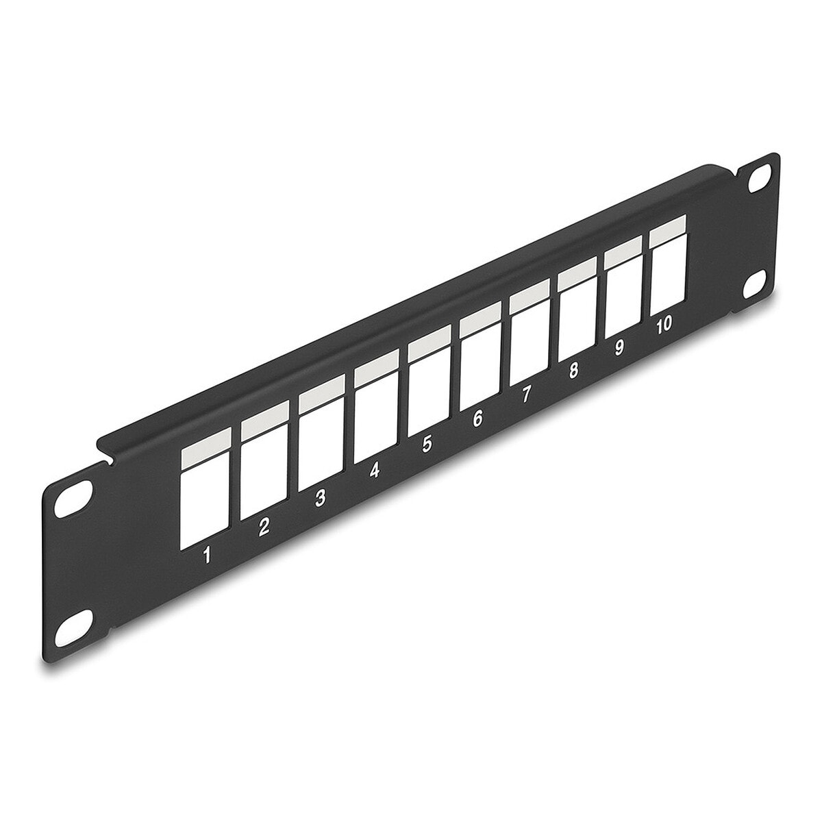 DeLock Panneau 10" 1U 10 ports Keystone - Image 1